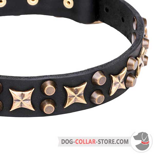 Brass-plated Cones and Stars on Dog Collar