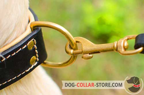 Handset Brass-Plated Hardware On Leather Golden Retriever Collar
