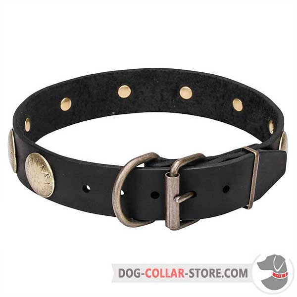 Dog Collar with Belt Buckle for Easy put on