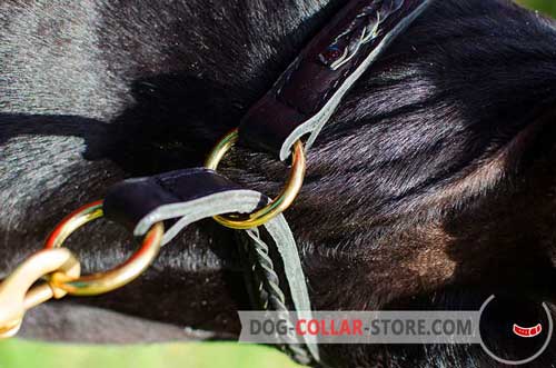 Durable O-Rings on Leather Dog Choke Collar