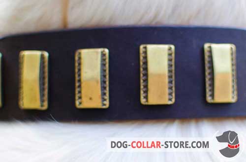 Properly Riveted Brass Plates On Stylish Leather Dog Collar 