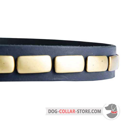 Rust Resistant Brass Plates on Leather Dog Collar