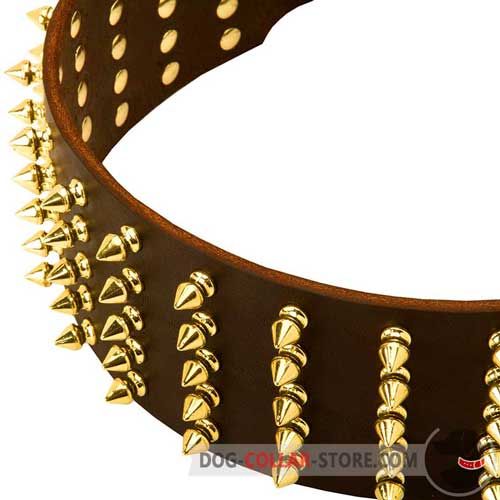 Brass Spikes Set in Five Rows on Leather Dog Collar 