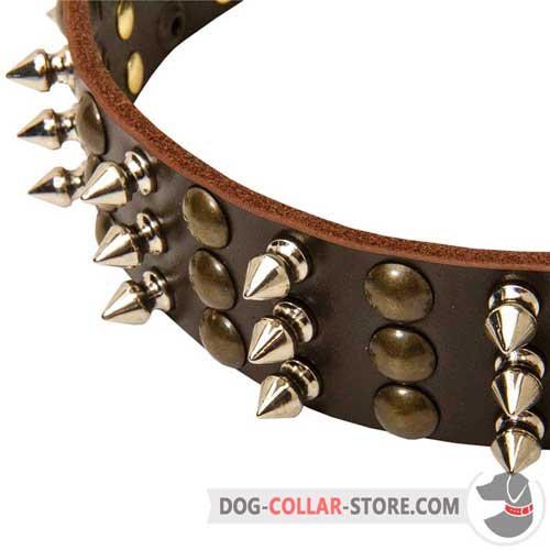 Designer Spikes and Studs on Leather Dog Collar 