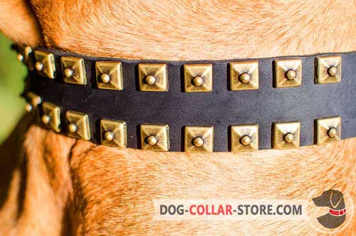 Fashionable Brass Studs on Easy Adjustable Leather Dog Collar
