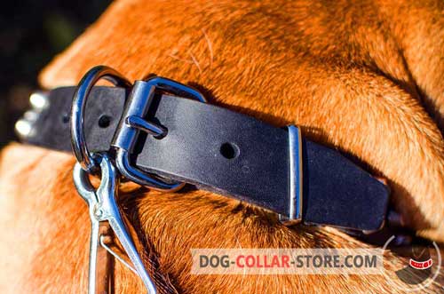  Strong Nickel Buckle And D-ring On Leather Dog Collar