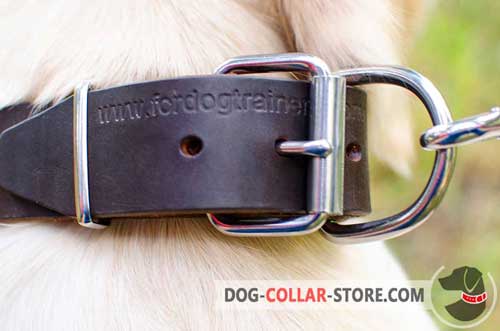 Reliable Rustless Buckle On Fashion Leather Dog Collar 