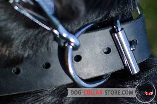 Nickel Plated Buckle On Durable Leather Dog Collar