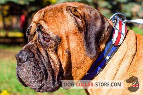 American Pride Hand Painted Leather Dog Collar for Bullmastiff