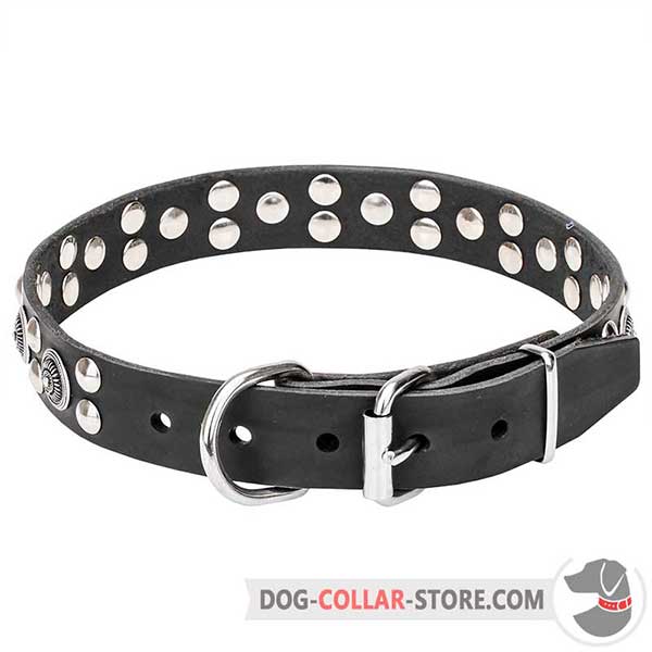 Dog Collar with durable hardware