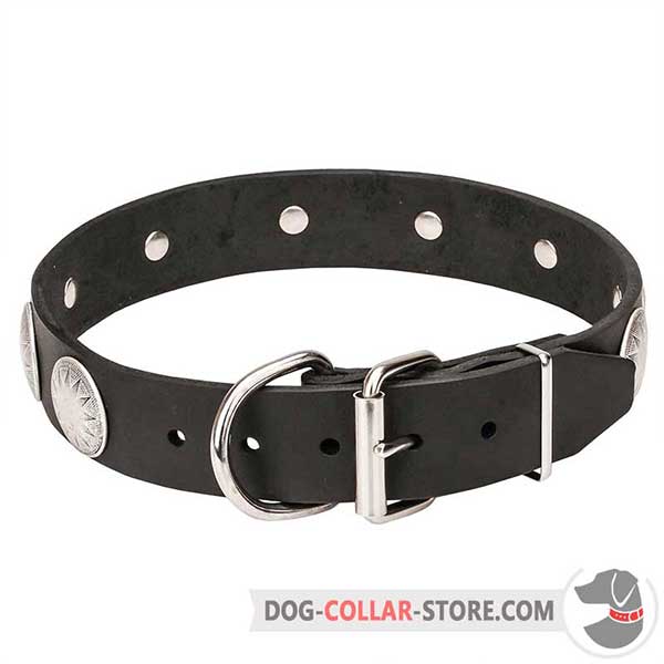 Dog Collar with Belt Buckle for Easy put on