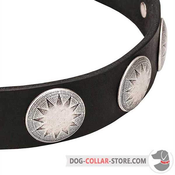 Dog collar with star plates