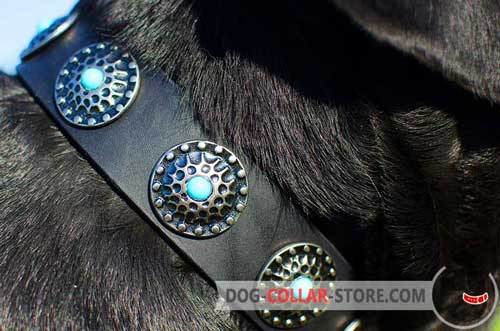 Solid Circles With Blue Stones On Leather Dog Collar