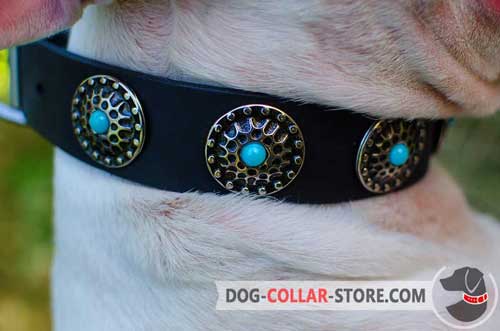 Fashion Silver Plated Circles on Fabulous Leather Dog Collar