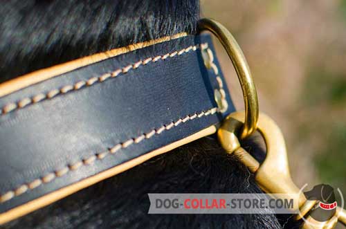 Brass-plated D-Ring on Nappa Padded Leather Dog Collar to Attach your Lead 