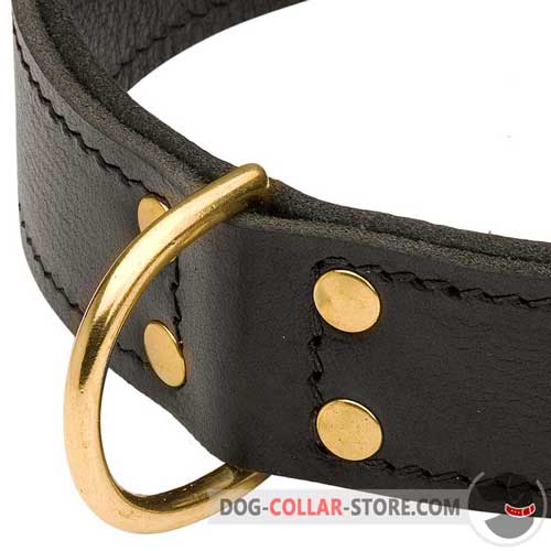Wide D-ring on Leather Dog Collar for Walking