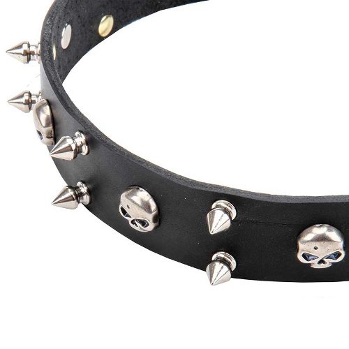 Dog Collar with nickel-plated hardware