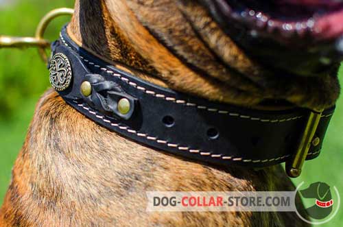 Fabulous Braided Decoration on Padded Leather Dog Collar