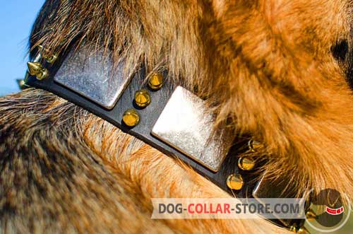 Duly Riveted Decorations On Leather Dog Collar 