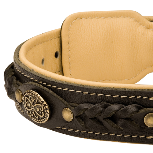 Decorations on Fashion Training Leather Dog Collar Nappa Padded for Extra Comfort