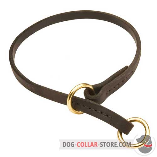 Training Leather Dog Choke Collar