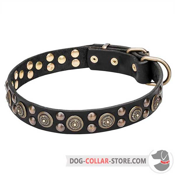 Leather Collar for walking, high quality
