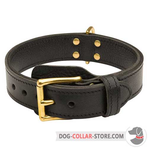 Strong Adjustable Leather Dog Collar for Regular Training with Buckle