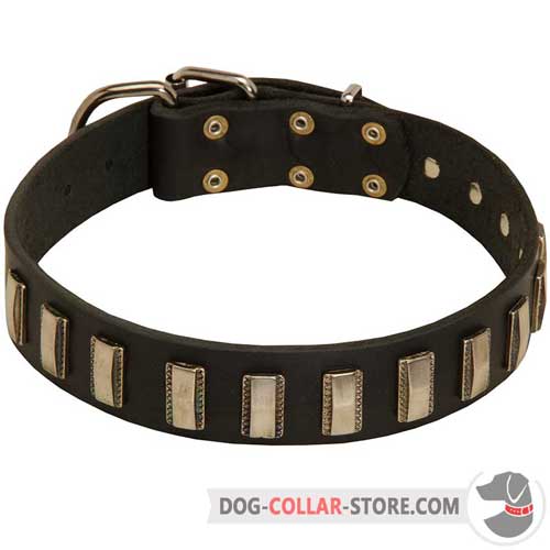 Adjustable Leather Dog Collar Decorated with Vertical Nickel Plates