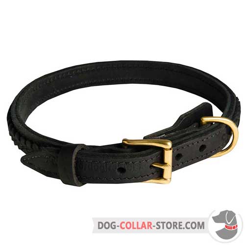 Braided Leather Dog Collar for Walking in Style