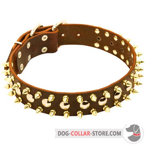 Studded and Spiked Leather Dog Collar for Walking