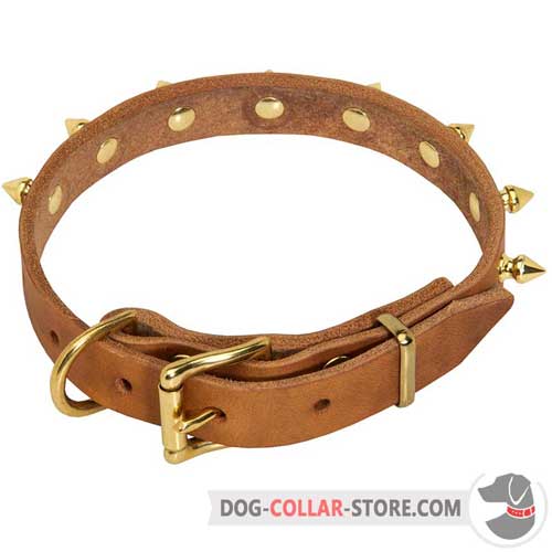 Leather Dog Collar with Brass-Plated Bronze Color Buckle