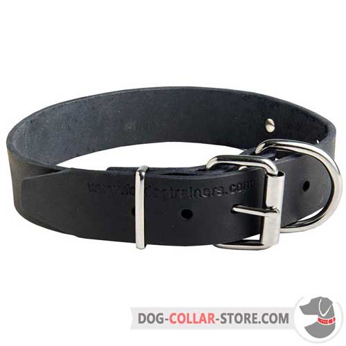 Classic Design Leather Dog Collar with Rust Resistant Nickel Plated Fittings