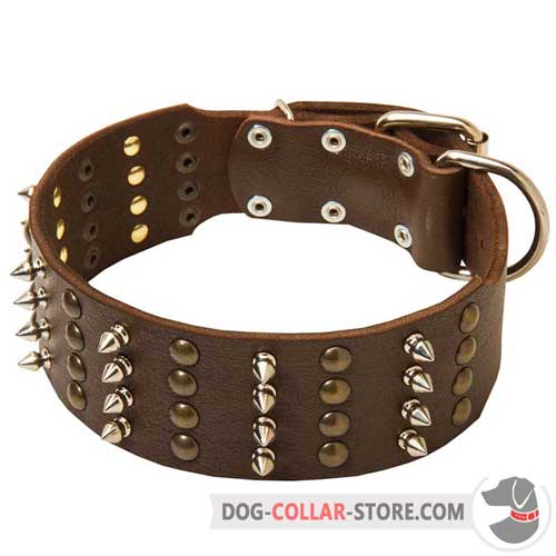 Decorated Leather Dog Collar with Nickel D-Ring