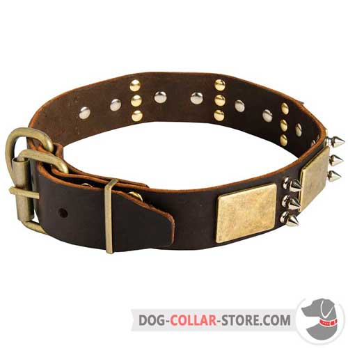 Decorated Leather Dog Collar With Rust Resistant Brass-Plated Fittings