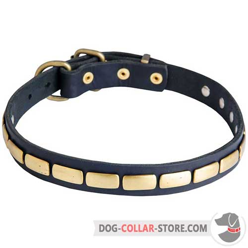 Leather Dog Collar with Gold-Like Brass Plates