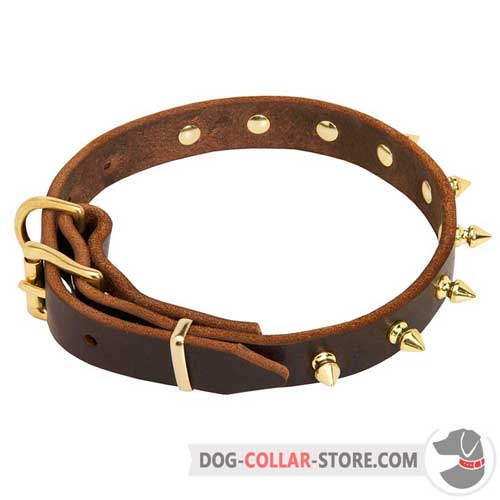 Leather Dog Collar with Unique Spiked Decorations
