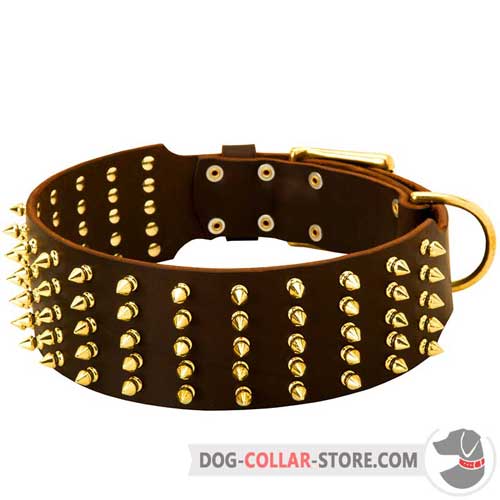 Extra Wide Leather Dog Collar with Gold Like Spikes