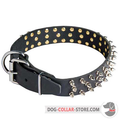 Leather Dog Collar of Spiked Design