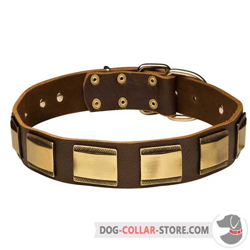 Decorative Fashion Leather Dog Collar with Plates