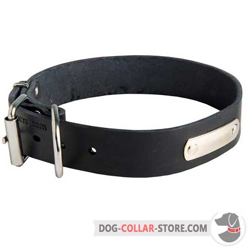 Elegant Handcrafted Leather Dog Collar with ID Tag