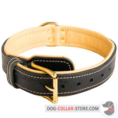 Nappa Padded Leather Dog Collar with Reliable Brass-Plated Buckle