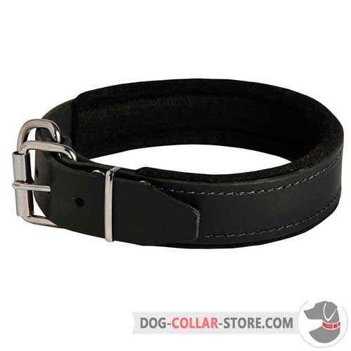 Classic Design Leather Dog Collar Padded with Soft Felt