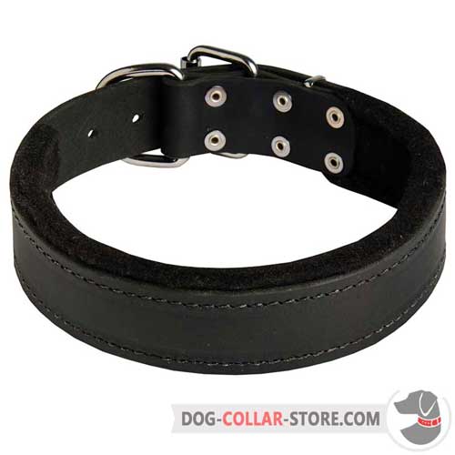 Leather Dog Collar Padded with Thick Felt for Walking and Training