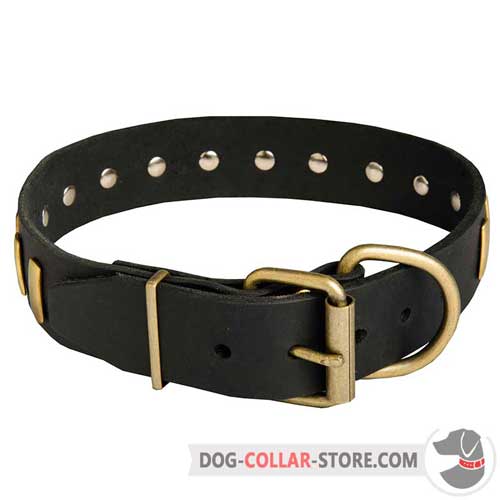 Plated Leather Dog Collar with Reliable Brass-Plated Hardware