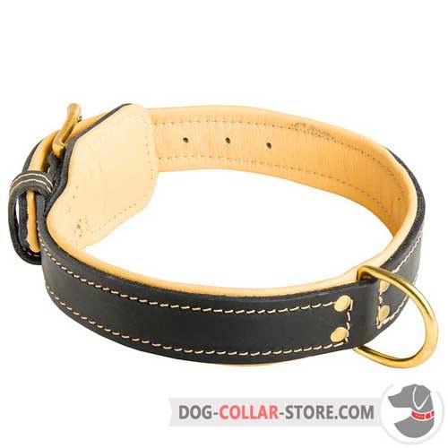 Royal Wide Leather Dog Collar Padded with Nappa