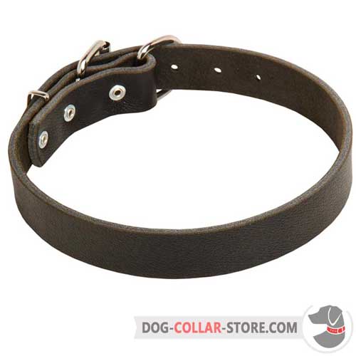 Classic Leather Dog Collar for Training and Walking