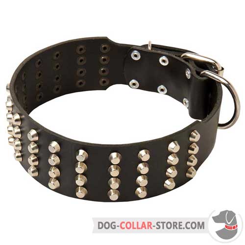 Leather Dog Collar Studded Design