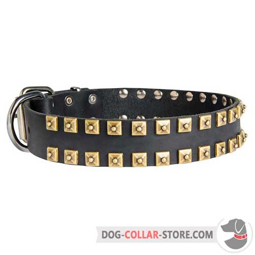 Hand Decorated Leather Dog Collar for Regular Training