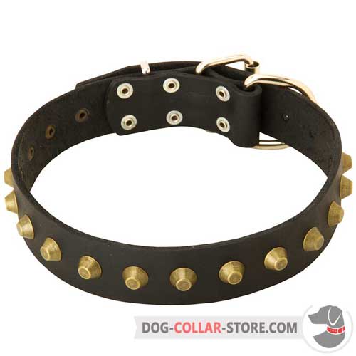 Fashion Studded Leather Dog Collar for Comfy Walking