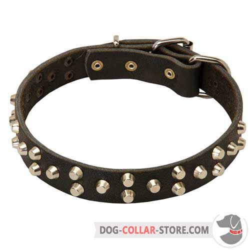 Studded Leather Dog Collar For Easy Walking and Training
